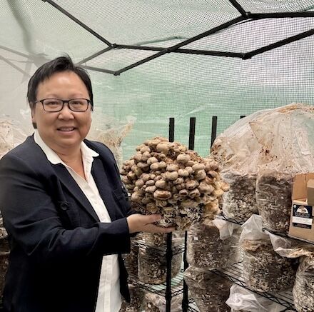 Tuyet Tran SEACMA Mushroom Farming Initiative - MassNonprofit News